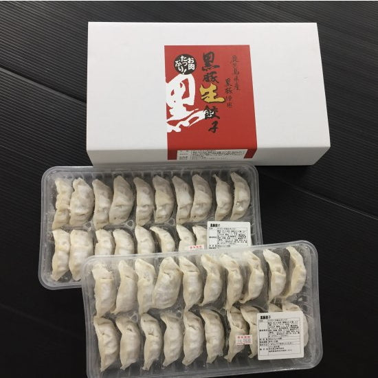 鹿児島産黒豚餃子 40個セット